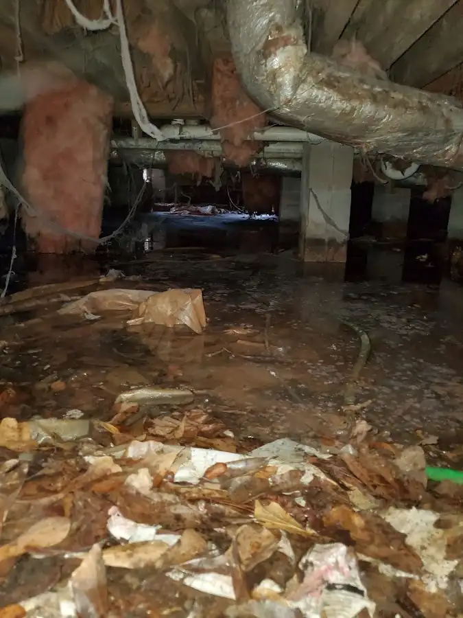 Crawl space flood assessment for Leak Detection & Repair in Fort Stockton